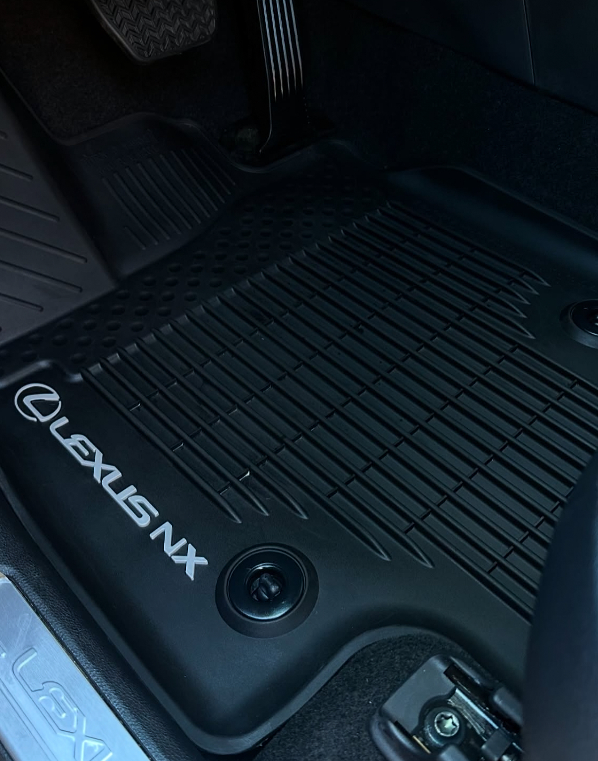 Interior floor mat detail Mesa